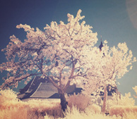 短信轰炸机网页版